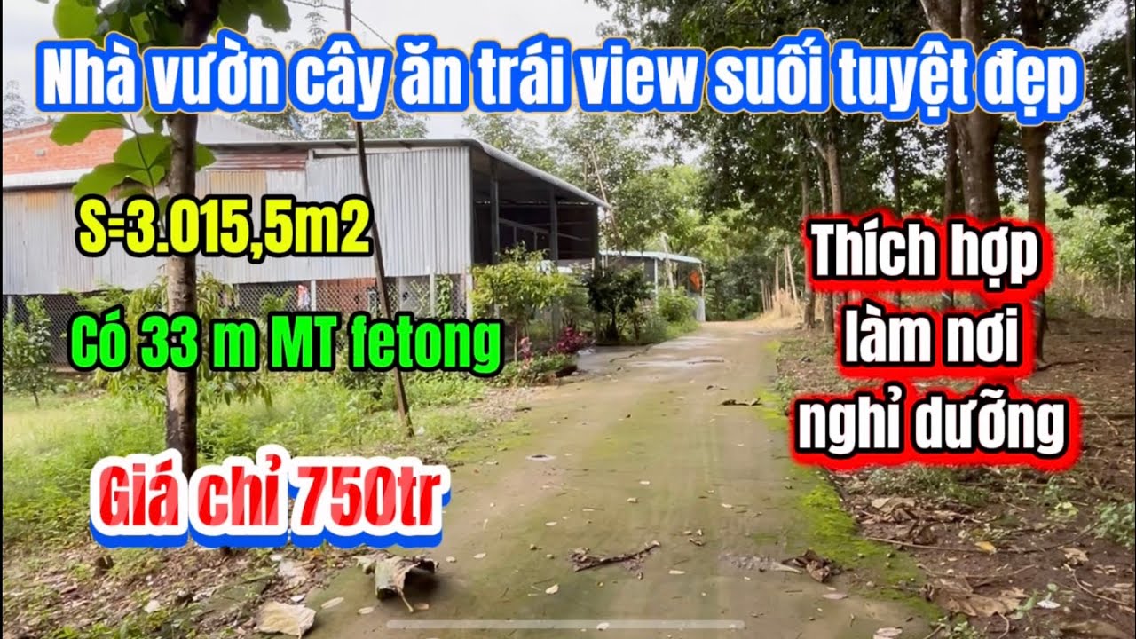 476🌹Nhà vườn view suối lớn có các loại cây ăn trái ao thả cá thích hợp làm nơi nghỉ dưỡng 