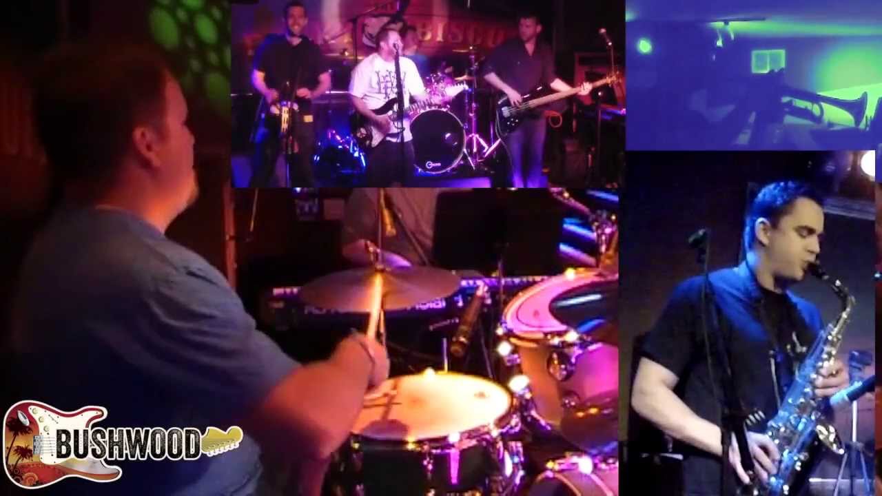 "I Don't Want My MTV" By BUSHWOOD [Official Music Video]