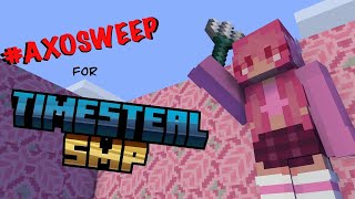 Timesteal SMP Application!