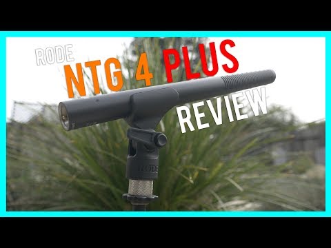 Rode NTG4+ Review | Sound Comparison