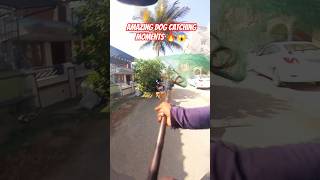 Gojo Single Dog Catch Up #shorts #ytviral #streetdogrevival #pets #abc #amazing