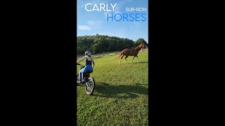 Carly Rides into horses  |  Sur Ron e-bike