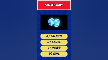 Fastest bird? #Quiz #Riddle #Free #AI #Quiz&Riddle #shorts #videos #short #watch #fyp