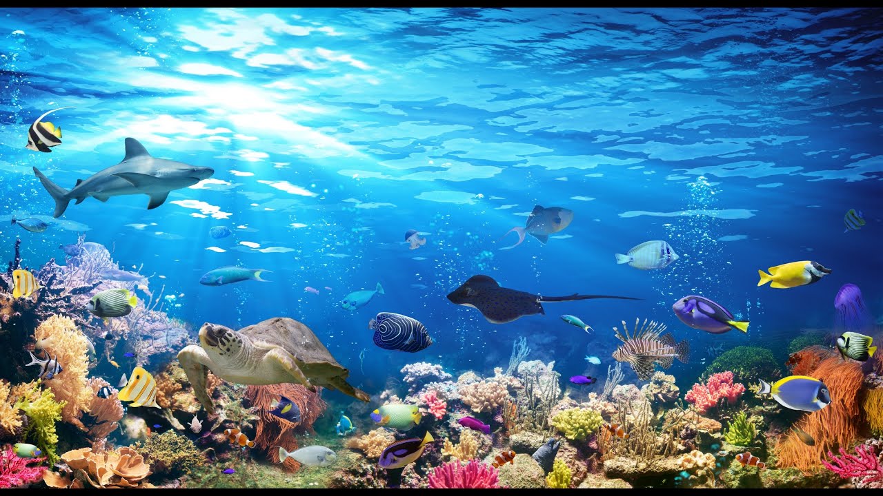 💞 Angel Healing | Underwater Paradise | Underwater Meditation Music | Stress Relief