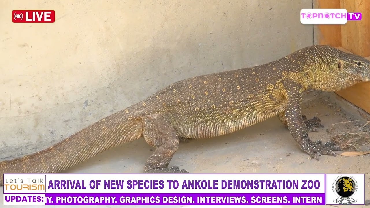 Arrival of New Species to Ankole Demonstration Zoo