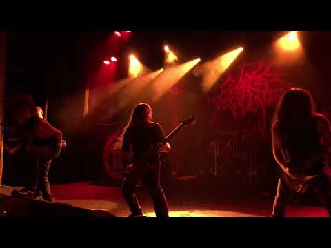 Cattle Decapitation - The Geocide (Live in Brisbane 2020)