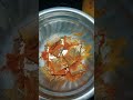 karuvadu#fry#vaala karuvadu#health #benefits #sons favourite #food#foodie #home#cooking #homemade #