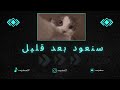 صاحين نايمين