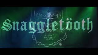 Snaggletooth - Motorhead Cover Of The Song Shoot You In The Back