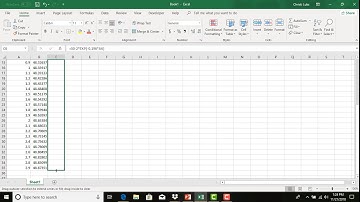 11B Euler Example 1 in Excel