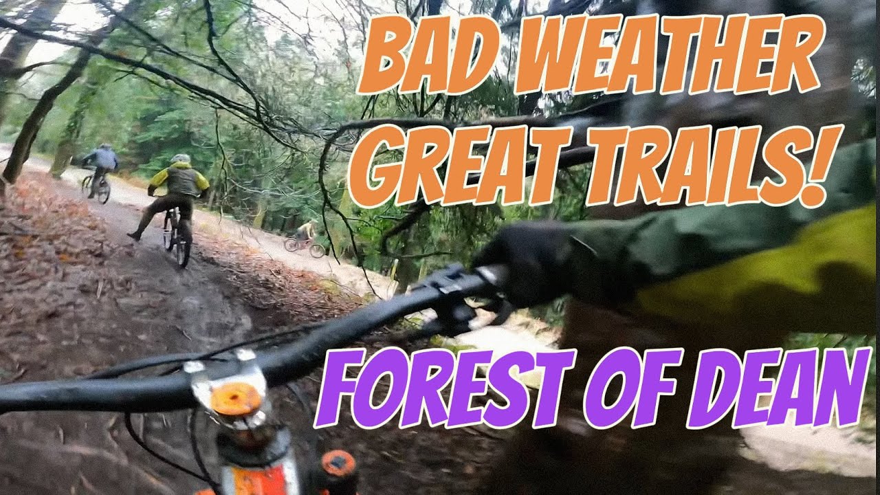 Forest of Dean mtb DH trails hit different in the wet