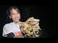 ヤバい島に来てしまったかも