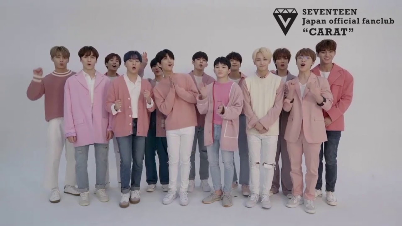 繁中字 / 190101 세븐틴 SEVENTEEN 新年問候之一人一句日語版 (Japan