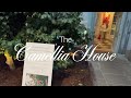 The Camellia House at Wentworth Woodhouse: Incredible renovation of Georgian glasshouse
