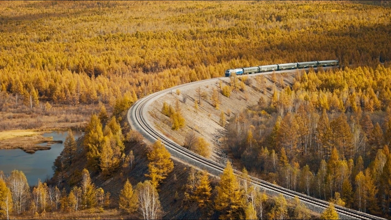 Поезд через самый большой золотой лес Китая