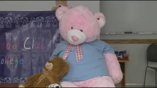 Comfort Comes from a Teddy Bear