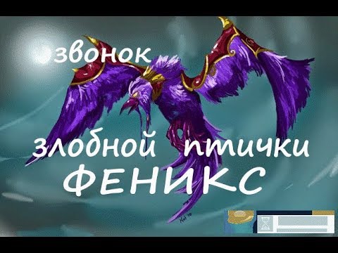 Звонок очередного птиц из гнезда Феникса, 22.02.19