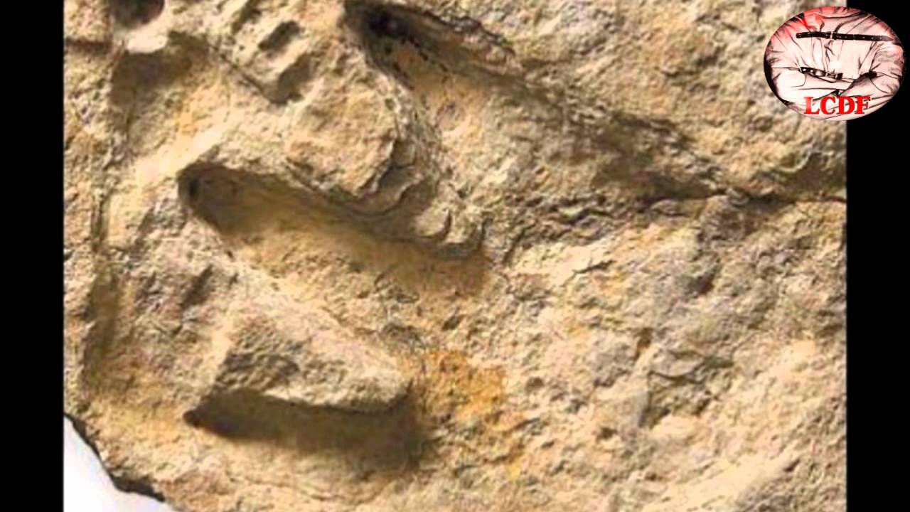 OOPARTS-Hallazgos imposibles(primera parte) endonezya nüfusu