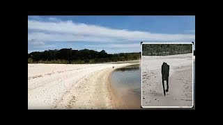 A tourist sailed past an uninhabited island when something unbelievable happened to him!