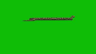 Python Snake Crawl Left to Right Side | Free Green Screen HD 3d Animation 60s Wildlife Natural Theme