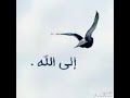 نمضي على احلامنا 