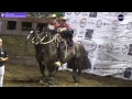 SERIE POTROS -71 CAMPEONATO NACIONAL DE RODEO