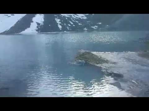 აბუდელაური