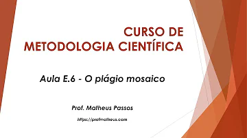 Como é identificado o plágio?