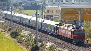 サービス汽笛付き EF81ー138号機牽引あきたdeナイト号佐貫~牛久間