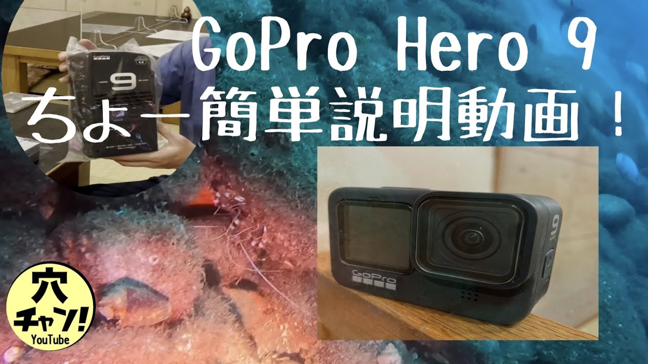 GoPro hero9のちょー簡単説明と実際の水中撮影の動画 - YouTube