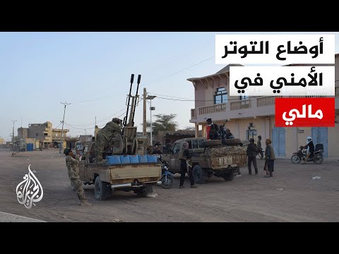 الجيش المالي: مقتل أكثر من 10 مسلحين إثر استهدافهم في سيفاري بولاية موبتي وسط البلاد