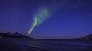 Why Rubrik