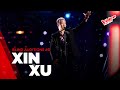 Xin Xu - “Nel blu dipinto di blu” | Blind Auditions #3 | The Voice Senior Italy | Stagione 2