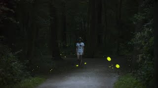 The Wonder of the Sparkling Fireflies in Summer 2020 screenshot 4