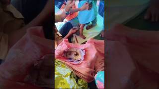 आज हमारी बेटी का मुंडनथा # short # mini vlog