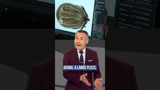 ¡Cuidado con las picaduras de garrapatas! Esta es la advertencia. ¡Cuidado con las picaduras de garrapatas! Esta es la advertencia.