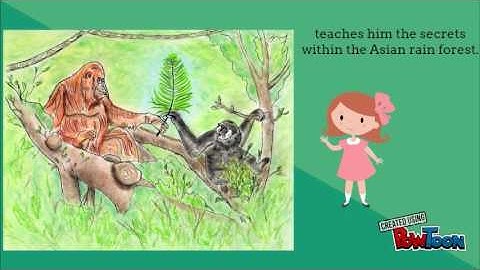 Gibbon Finds A Friend