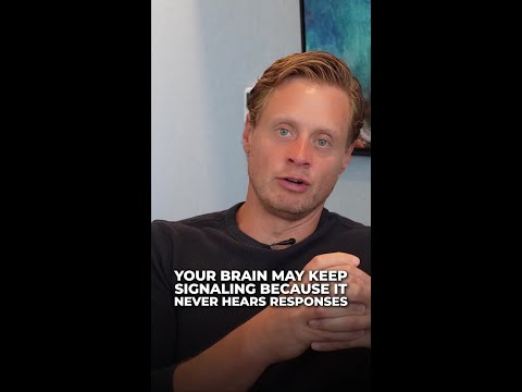 Kip Kingle's Brain Scan: A Game Changer?