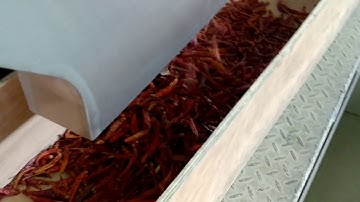 Sorting Video for Red Chili Pepper--Angelon Chili Color Sorter