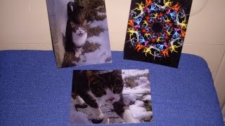 Zazzle Post Cards Product Review
