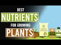 Best Nutrients for Growing Cannabis