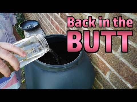 Rainwater Butt Ecosphere - 2 Years Later - is Anything Left Alive?