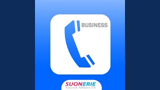 Business Digital Discrete Decente (Ringtones Per Cellulari) screenshot 2