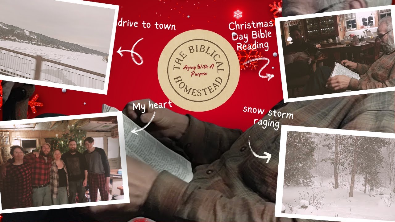 Спокойный рождественский визит: заснеженная дорога, семейные традиции и нежные размышления. Библе...