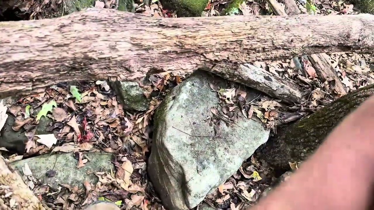 Day 1 of Training to Climb Everest!