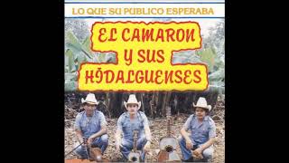 El Camaron Y Sus Hidalguenses__ A Donde Te Ayas