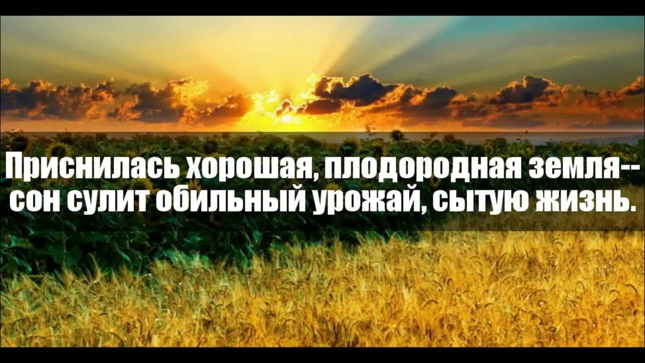 Приснилось кидать. К чему снится земля. К чему снится земля во сне. Сонник земля расходится. К чему снится земля черная.