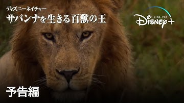 ディズニーネイチャー／サバンナを生きる百獣の王｜予告編｜Disney  (ディズニープラス）