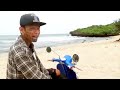 Fly Away (freedom song) - ILUSI OFFICIAL (VIDEO CLIP)