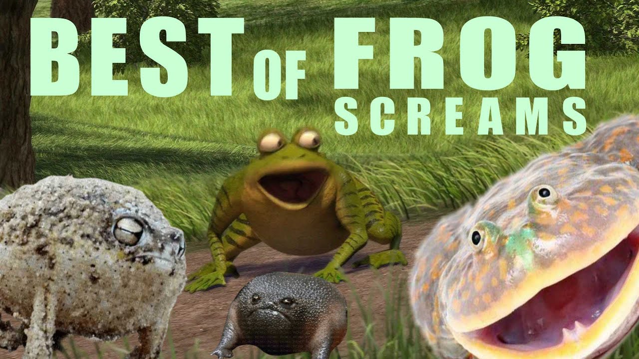 Best of frog screams (my selection)